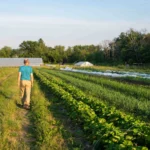 Farmland loans for regenerative agriculture: FBN and Walton family launch ‘first-of-its-kind’ lending program