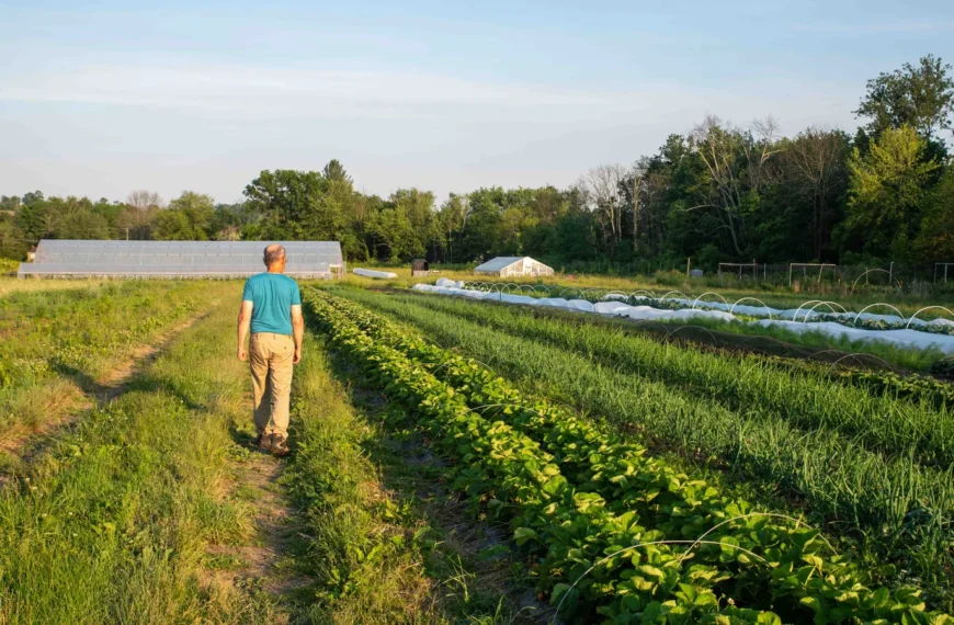Farmland loans for regenerative agriculture: FBN&hellip;