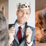 The Rise And Fall (And Lamentable Rise) Of The “Alpha Male” Myth