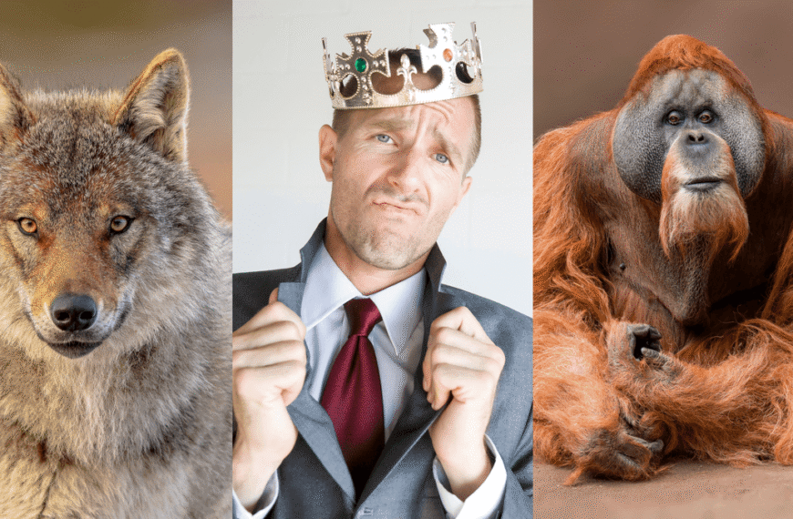 The Rise And Fall (And Lamentable Rise) Of The “Alpha Male” Myth