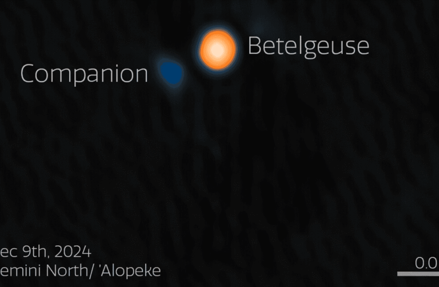 It Looks Like We’ve Found Betel-Buddy, Betelgeuse’s Suspected Companion Star