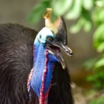 5 Animals That Have Absolutely No Business Jumping (In Our Very Humble, Definitely Unbiased Opinion)