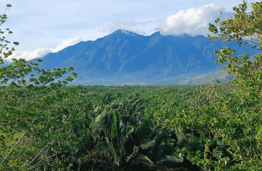 A Shrimp That Lives In A Tree? Indonesia’s Cyclops Mountains Are Home To Some Seriously Strange Wildlife