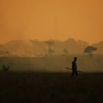 These Are The “New Seasons” Scientists Think Are Emerging Because Of Climate Change