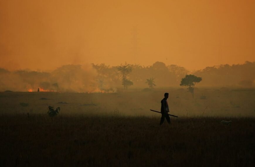 These Are The “New Seasons” Scientists Think Are Emerging Because Of Climate Change