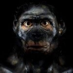 1.8 Million Years Ago, Two Extinct Humans Had One Of The Gnarliest Deaths In History