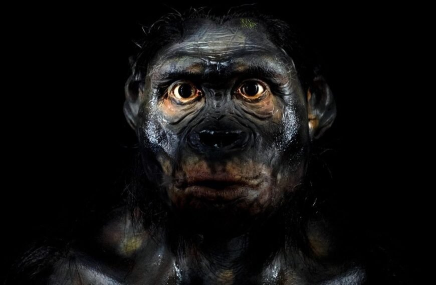1.8 Million Years Ago, Two Extinct Humans Had One Of The Gnarliest Deaths In History