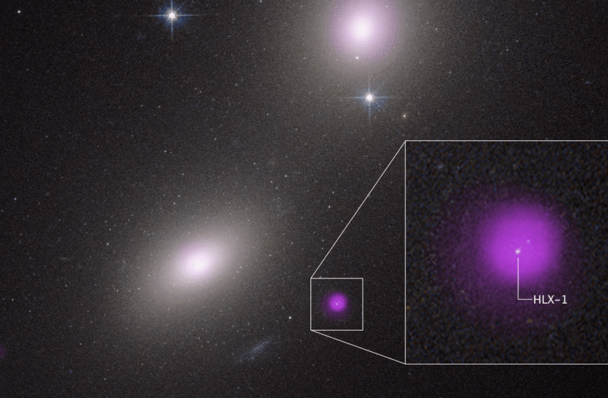 Extremely Rare Black Hole Type Caught Snacking On A Star 450 Million Light-Years Away