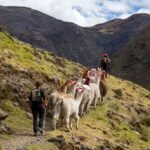 Psychologists Offer A “New Path” To The Good Life