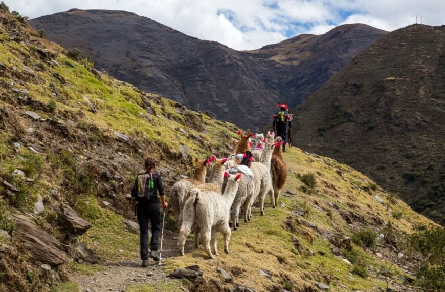 Psychologists Offer A “New Path” To The Good Life