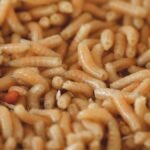 Neanderthals May Have Feasted On Maggots, Which They Harvested From Rotting Flesh