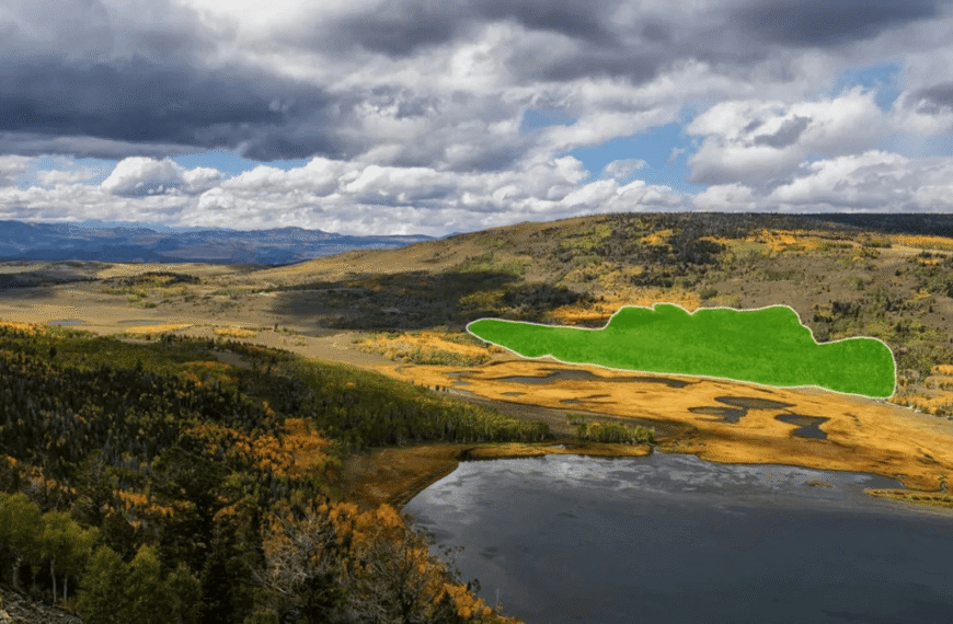 An Enormous “Blob” In Utah Is Up To 80,000 Years Old And Among Earth’s Oldest Organisms