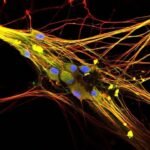 Just How Many “Sixth Senses” Do We Have, Anyway?