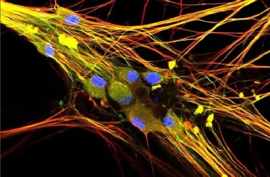 Just How Many “Sixth Senses” Do We Have, Anyway?