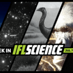 24-Million-Year-Old Protein Fragments Are Oldest Ever Recovered, A Robot Listened To Spoken Instructions And Performed Surgery, And Much More This Week