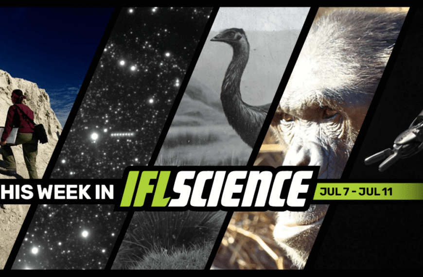 24-Million-Year-Old Protein Fragments Are Oldest Ever Recovered, A Robot Listened To Spoken Instructions And Performed Surgery, And Much More This Week