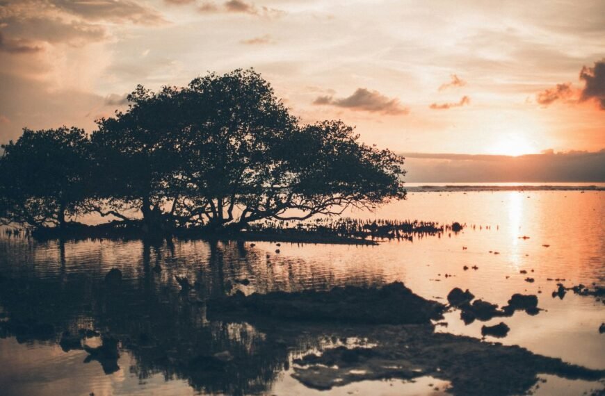 The World’s Deadliest Animal Kills Over 1,000,000 People Every Year