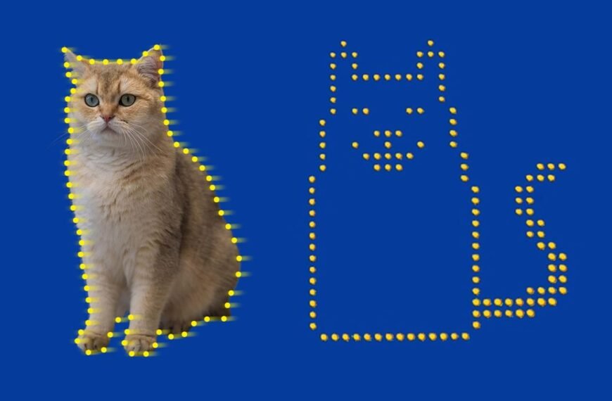 Physicists Create The Smallest Cat Video Ever Made Of Just 2,024 Atoms