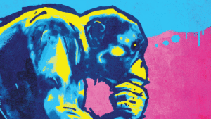 Can Animals Think? Understanding Them Could Be Key…