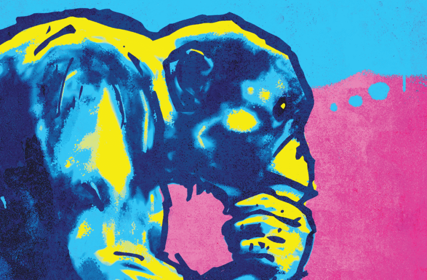 Can Animals Think? Understanding Them Could Be Key To Communicating With Aliens One Day