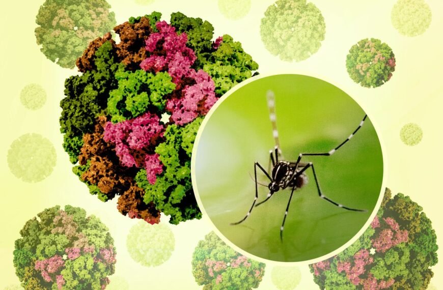 Chikungunya Virus Is Spreading In China: As CDC…