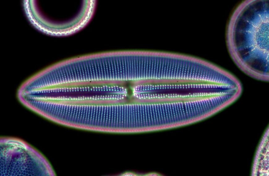 “Smoking Gun” Causing Parts Of Antarctic Ocean To Shine Weirdly Bright In Satellite Images Discovered