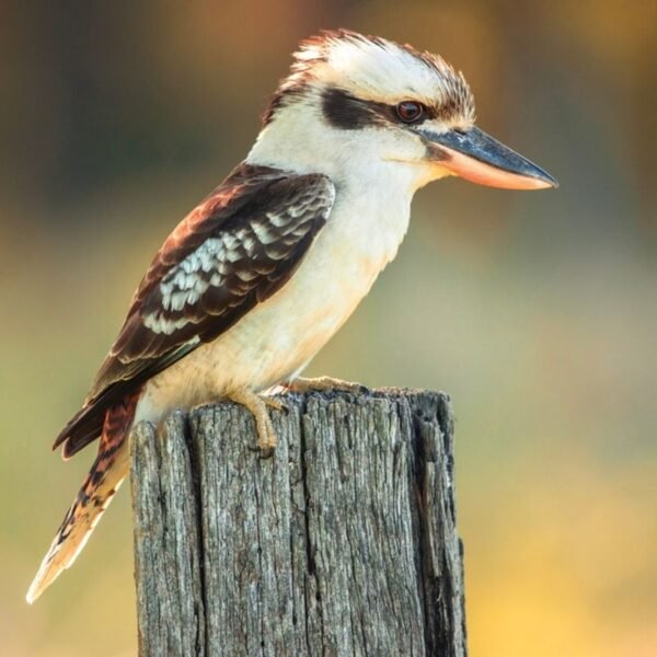 World-First Study Finds “Sex Reversal” Surprisingly Common In…