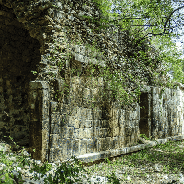 “Land Of The White Jaguar”: 327-Year-Old Letter Leads…