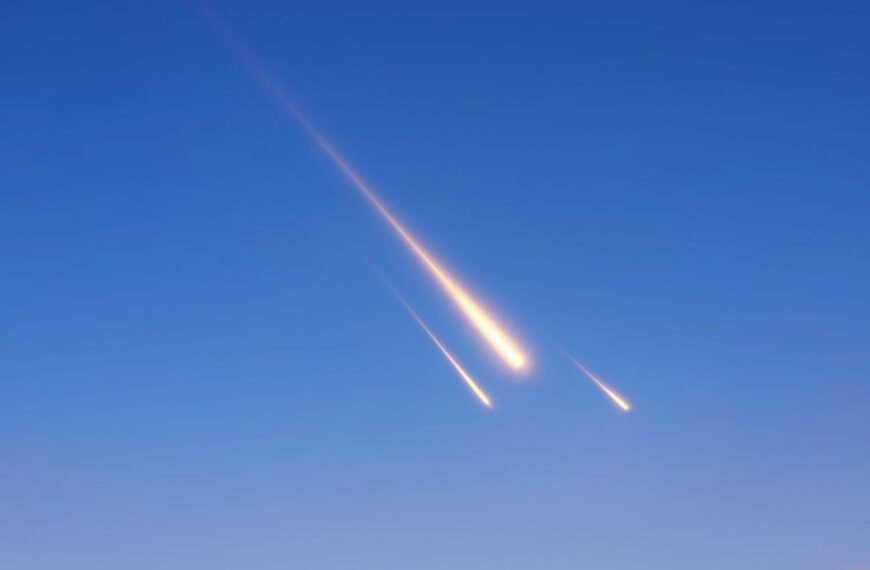 Ann Hodges: The Only Confirmed Person To Be Hit By A Meteorite And Live