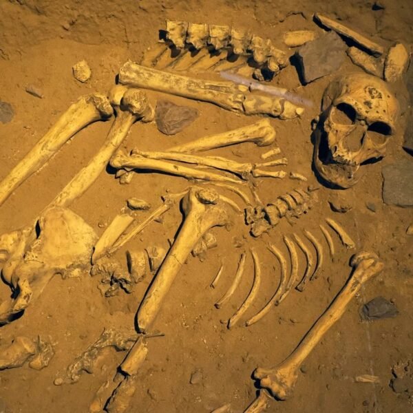 Neanderthals In Iberia Had Funerary Practices – They’re&hellip;