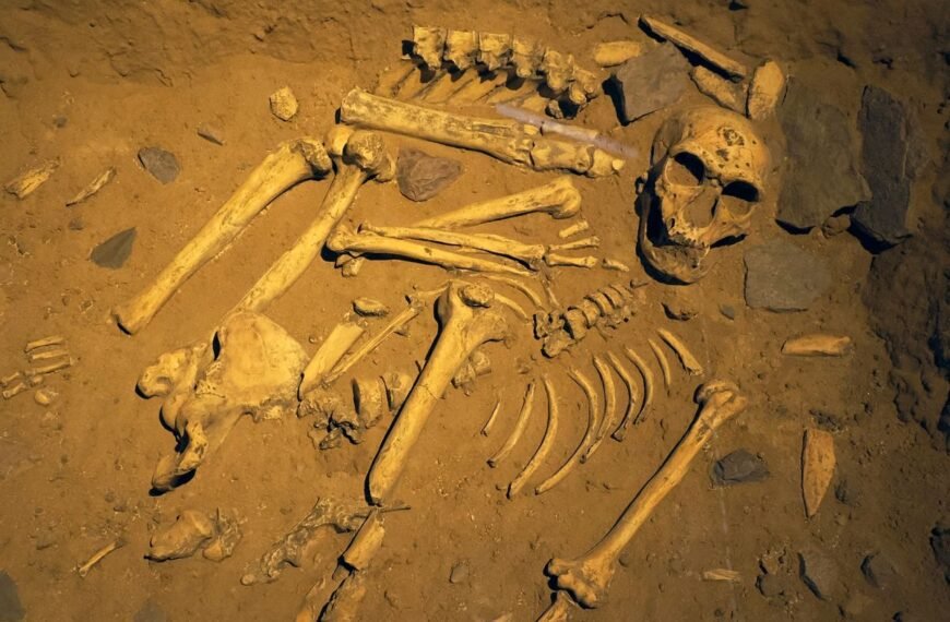 Neanderthals In Iberia Had Funerary Practices – They’re&hellip;