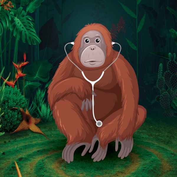 “Every Species On The Planet Self-Medicates In Some…