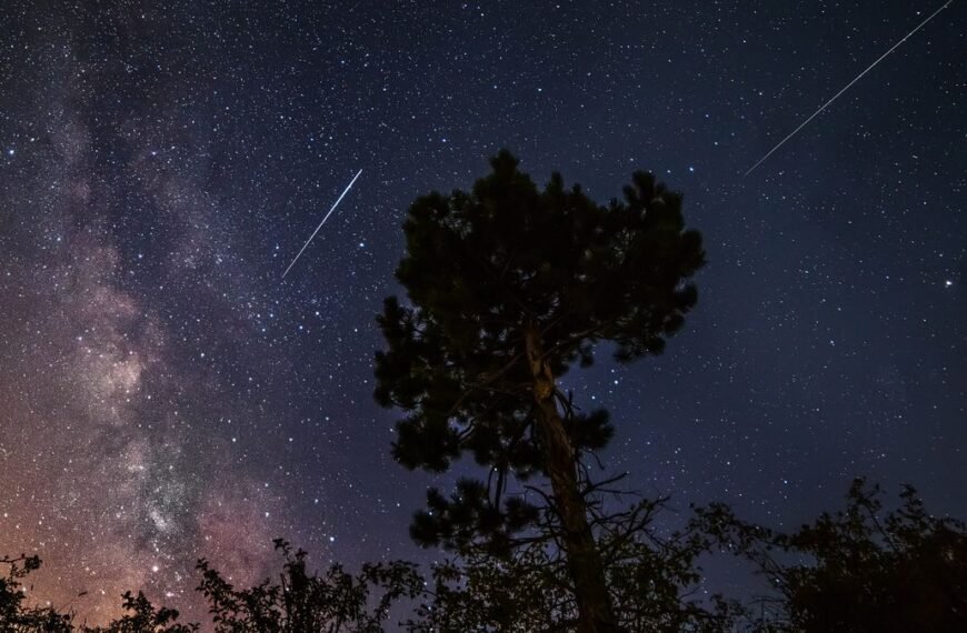 The Year’s Best Meteor Shower Is About To…