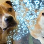 Dog Named Scribble Replicates Quantum Factorization Records – So We Tried It Too