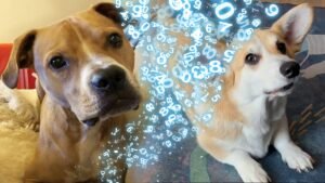 Dog Named Scribble Replicates Quantum Factorization Records –&hellip;