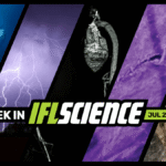 Deepest Complex Ecosystem Ever Discovered 10 Kilometers Below The Sea, 892-Kilometer “Megaflash” Lightning Sets New World Record, And Much More This Week