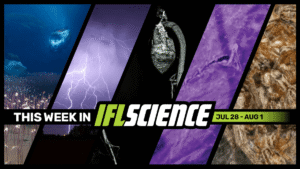 Deepest Complex Ecosystem Ever Discovered 10 Kilometers Below…