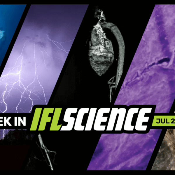 Deepest Complex Ecosystem Ever Discovered 10 Kilometers Below…