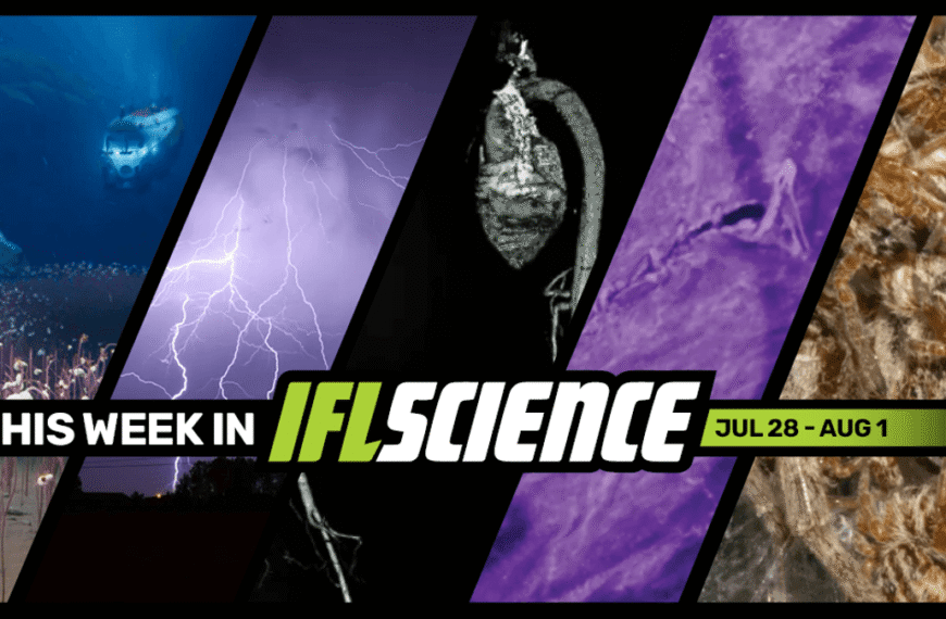 Deepest Complex Ecosystem Ever Discovered 10 Kilometers Below…