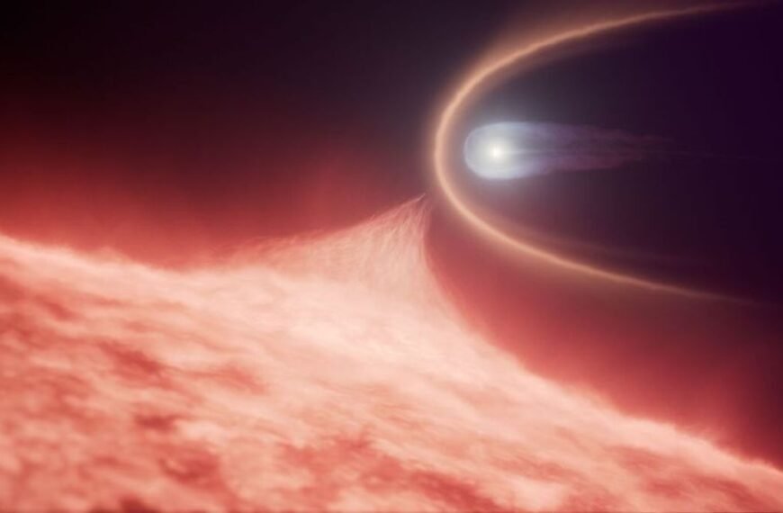 Unique White Dwarf Heavier Than The Sun Is Hiding A Merger In Its Past