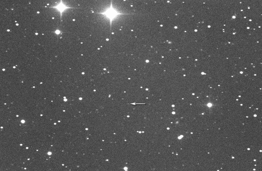 Watch As An Asteroid The Size Of A Brachiosaurus Passes 0.0014599 AU From Earth Tomorrow