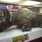 It Had A “Strong Pleistocene Aroma”: In 1984, Scientists Ate A 50,000-Year-Old Bison In A Stew