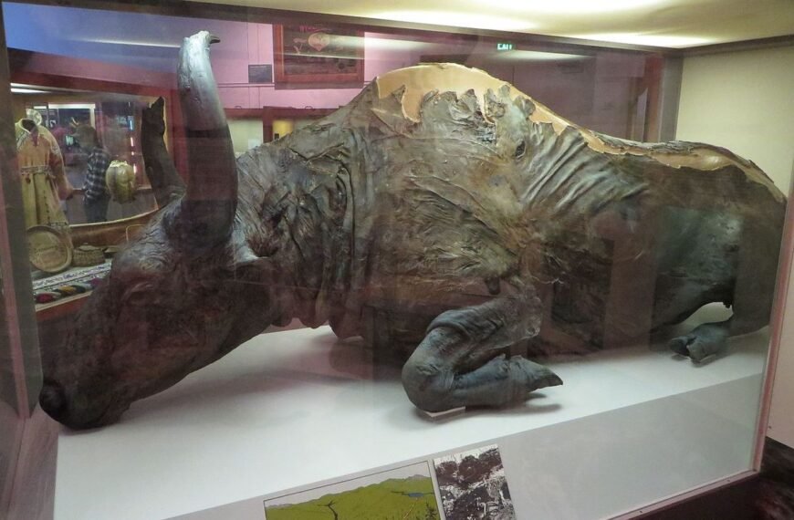 It Had A “Strong Pleistocene Aroma”: In 1984,…