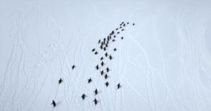 What Would You Reach If You Kept Digging&hellip;