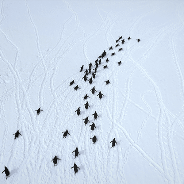 What Would You Reach If You Kept Digging&hellip;