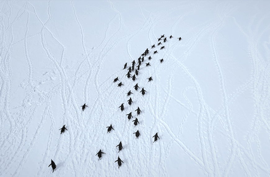 What Would You Reach If You Kept Digging Under Antarctica?