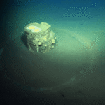 Strange Halos Have Formed Around Barrels Of Chemicals Dumped Off LA’s Coast Over 50 Years Ago