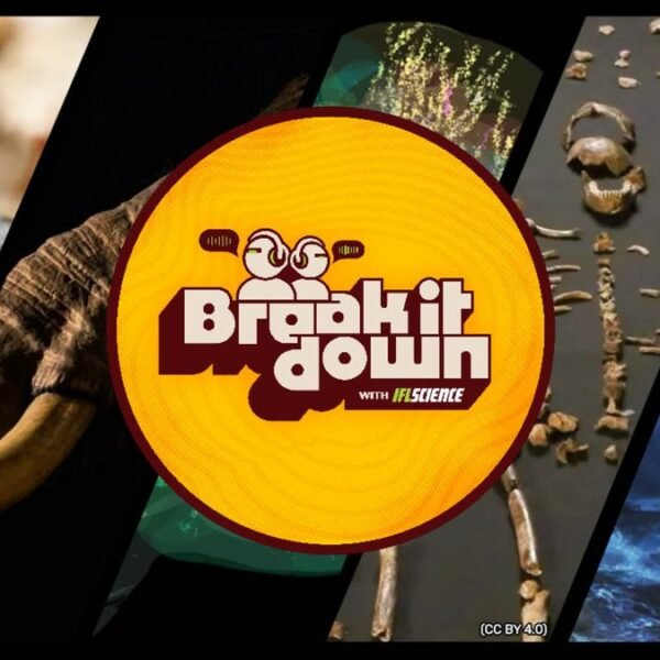 Tropical Mammoths, Dazzling Brain Map, And Perfectly Preserved&hellip;