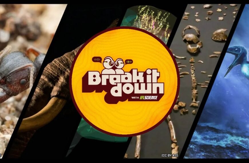 Tropical Mammoths, Dazzling Brain Map, And Perfectly Preserved Pterosaurs