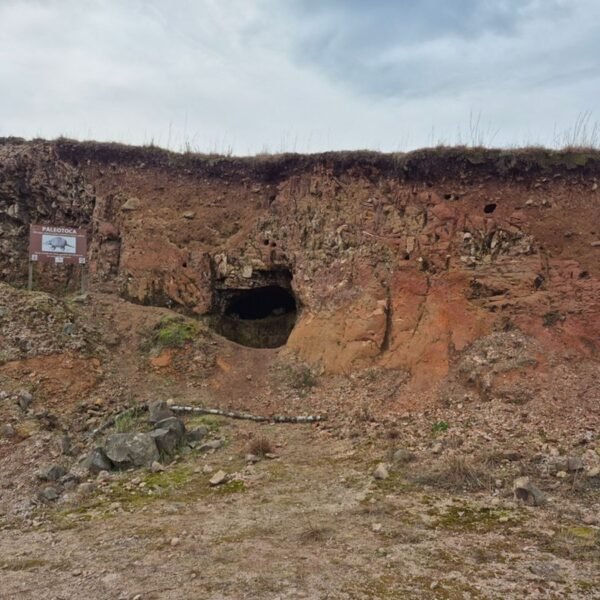 Something Other Than Geological Processes Or Humans Created&hellip;